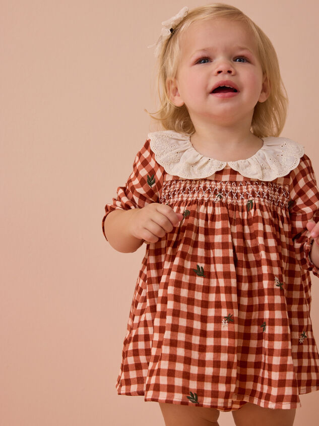 Clementine Gingham Embroidered Baby Dress Detail 5 - AS Kids