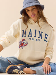 Maine Sailboat Hoodie - ALTAR'D STATE KIDS