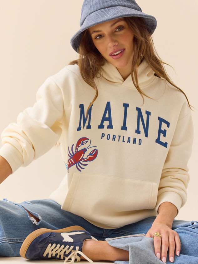 Maine Sailboat Hoodie - ALTAR'D STATE KIDS