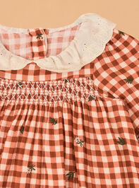 Clementine Gingham Embroidered Toddler Dress Detail 2 - AS Kids