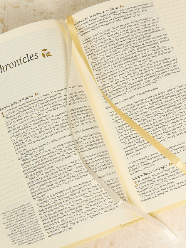 Hosanna Revival NLT Journaling Bible: Belfast Theme Detail 3 - ALTAR'D STATE KIDS