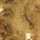 WORN-GOLD