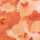 ORANGE-MULTI