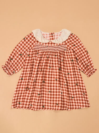 Clementine Gingham Embroidered Toddler Dress - AS Kids