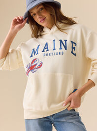 Maine Sailboat Hoodie Detail 5 - ALTAR'D STATE KIDS