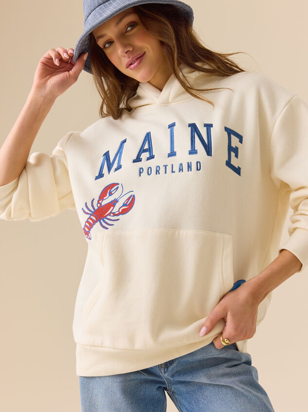 Maine Sailboat Hoodie Detail 5 - ALTAR'D STATE KIDS