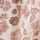 IVORY-BROWN