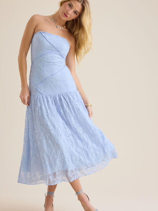 Mira Mesh Maxi Dress Detail 3 - ALTAR'D STATE KIDS