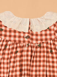 Clementine Gingham Embroidered Toddler Dress Detail 3 - AS Kids