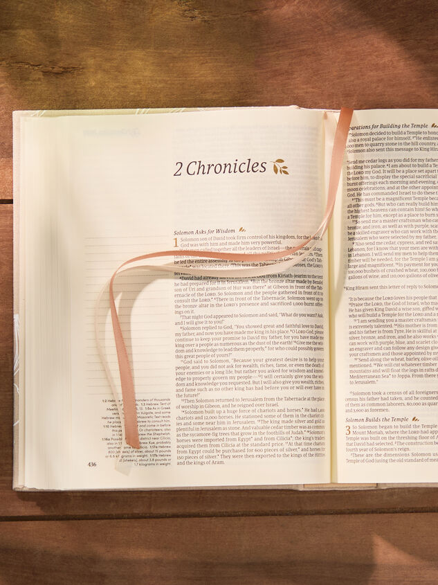 Hosanna Revival NLT Journaling Bible: Cordova Theme Detail 3 - ALTAR'D STATE KIDS