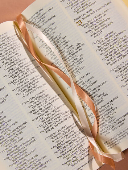 Hosanna Revival Compact Bible- Casablanca Theme NLT - ALTAR'D STATE KIDS