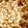 GOLD-MULTI