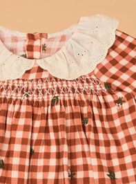Clementine Gingham Embroidered Baby Dress Detail 2 - AS Kids