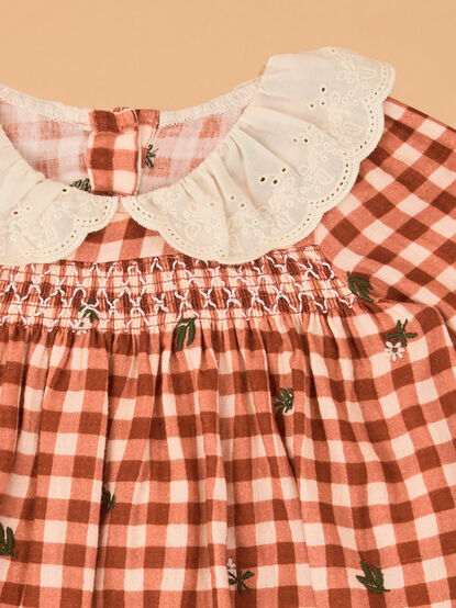 Clementine Gingham Embroidered Baby Dress - AS Kids