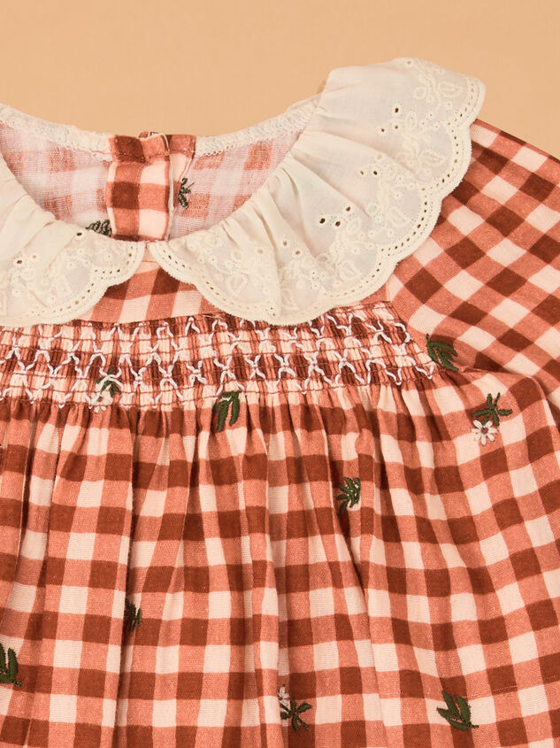 Clementine Gingham Embroidered Baby Dress Detail 2 - AS Kids
