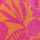 PINK-ORANGE
