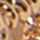 GOLD-IVORY