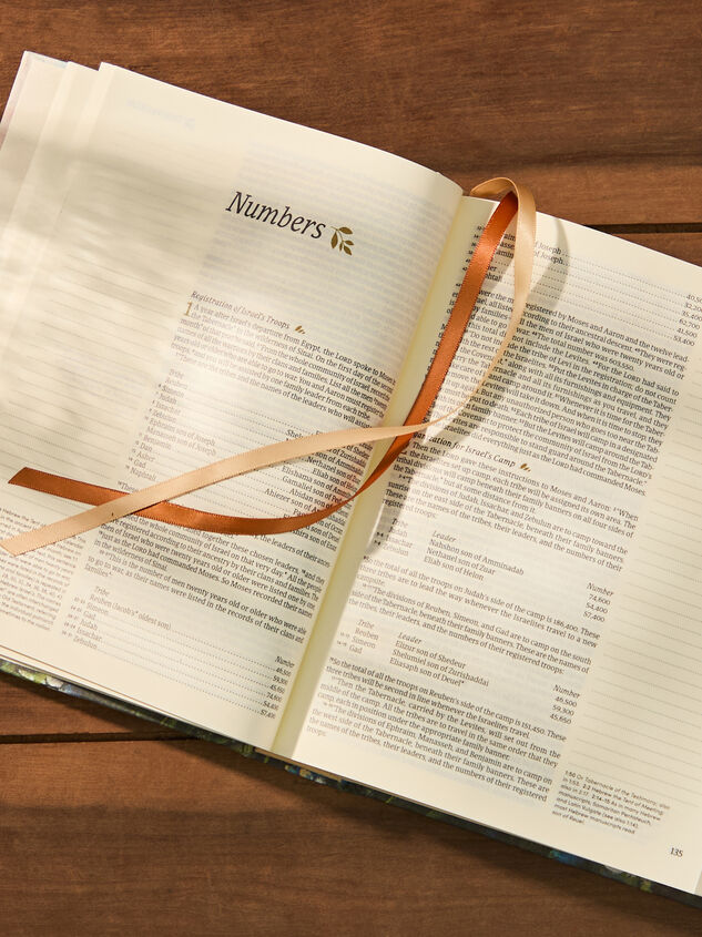 Hosanna Revival NLT Journaling Bible: Coram Theme Detail 3 - ALTAR'D STATE KIDS