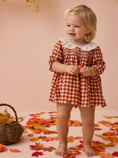 Clementine Gingham Embroidered Baby Dress - AS Kids