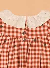 Clementine Gingham Embroidered Baby Dress Detail 3 - AS Kids