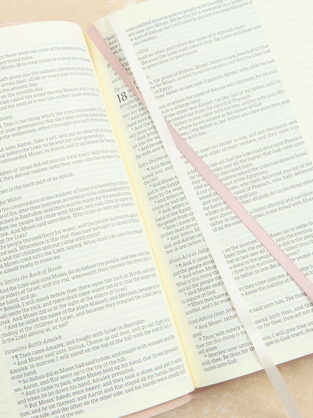 KJV Shiloh Large Print Notetaking Bible by Hosanna Revival Detail 3 - ALTAR'D STATE KIDS