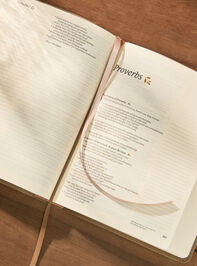 Hosanna Revival Notetaking Bible - Marlo Theme NLT Detail 3 - ALTAR'D STATE KIDS