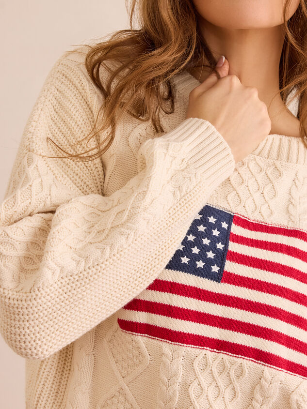 USA Flag Sweater Detail 3 - ALTAR'D STATE KIDS