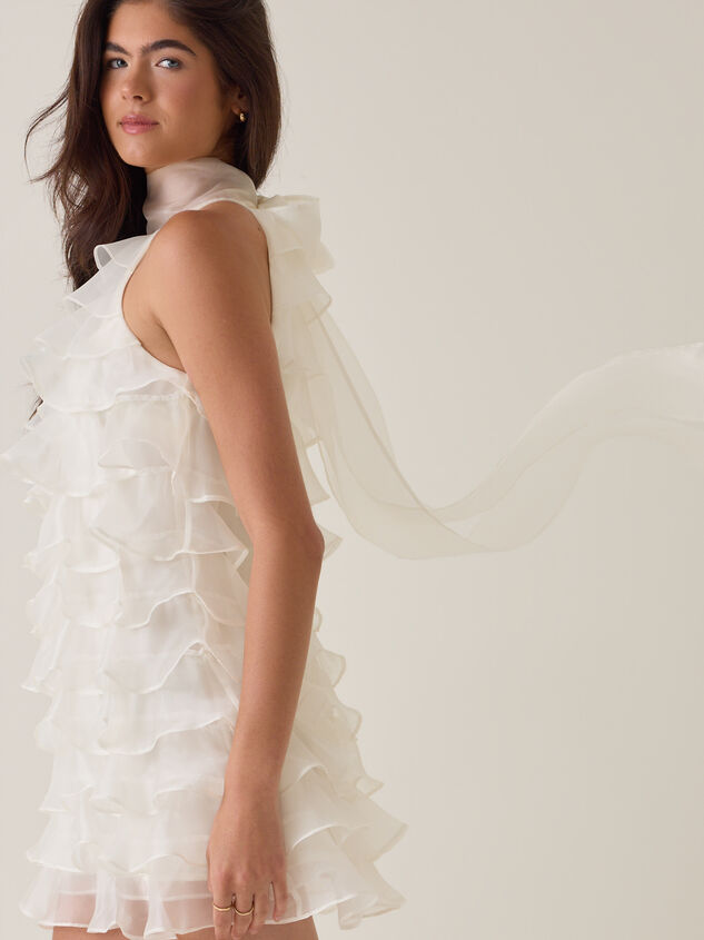 Ashen Ruffle Mini Dress Detail 3 - AS Kids