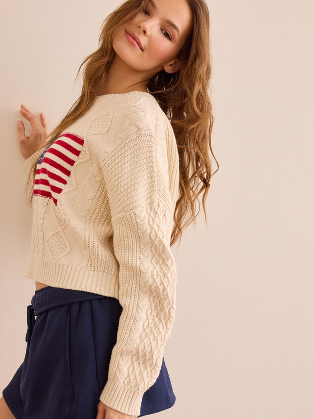 USA Flag Sweater Detail 4 - ALTAR'D STATE KIDS