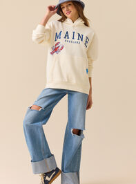 Maine Sailboat Hoodie Detail 3 - ALTAR'D STATE KIDS