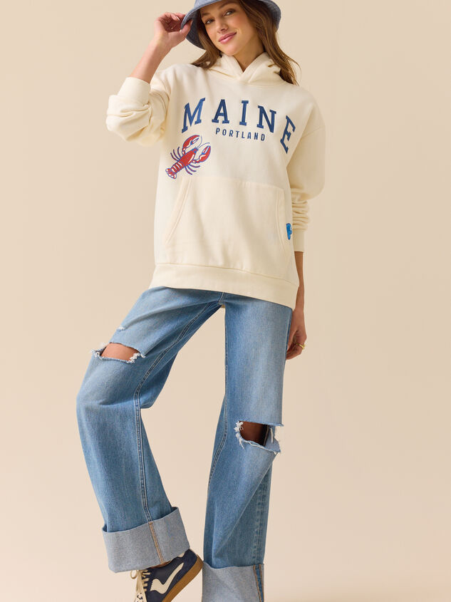 Maine Sailboat Hoodie Detail 3 - ALTAR'D STATE KIDS